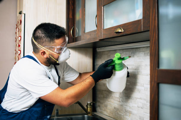 Best Pest Removal Services  in Grantsville, UT