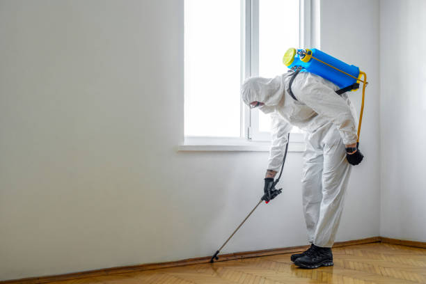 Trusted Grantsville, UT Pest Control Experts