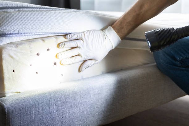 Best Residential Pest Control  in Grantsville, UT