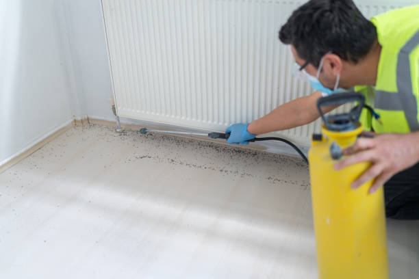 Best Affordable Pest Control Services  in Grantsville, UT